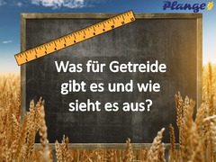 Die Getreidesorten