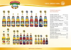 Lindauer Salesfolder