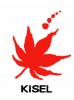 KING SELL DESIGN INDUSTRIAL CORP.