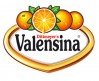 Valensina GmbH