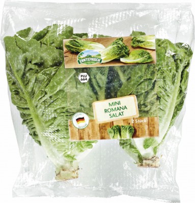 1:12 Maßstab Streifen Von 5 Romaine Salat Tumdee Puppenhaus Gemüse Zubehör 